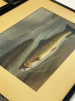 Lot 768 - 19th Century British School - Four fish studies | gouache