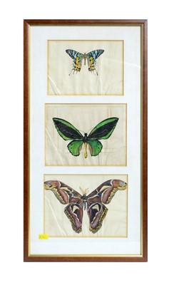 Lot 1081 - Gladys Davison - Three butterfly studies | watercolour