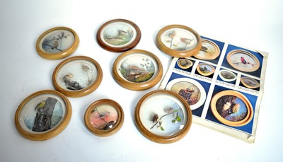 Lot 337 - A collection of miniature nature study dioramas