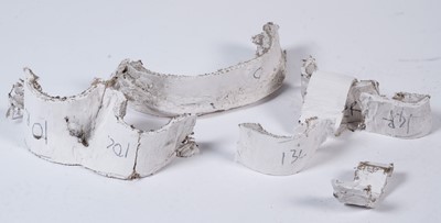 Lot 108 - Sir Antony Mark David Gormley - A studio mould for "Domain Field" | artist's mould