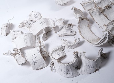 Lot 108 - Sir Antony Mark David Gormley - A studio mould for "Domain Field" | artist's mould