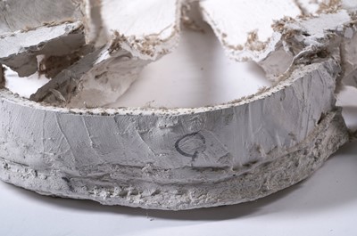 Lot 108 - Sir Antony Mark David Gormley - A studio mould for "Domain Field" | artist's mould