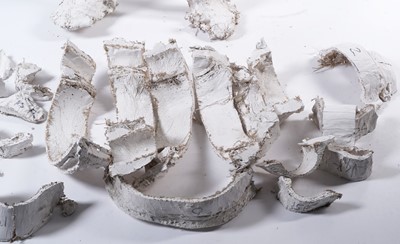 Lot 108 - Sir Antony Mark David Gormley - A studio mould for "Domain Field" | artist's mould
