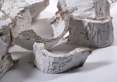 Lot 108 - Sir Antony Mark David Gormley - A studio mould for "Domain Field" | artist's mould