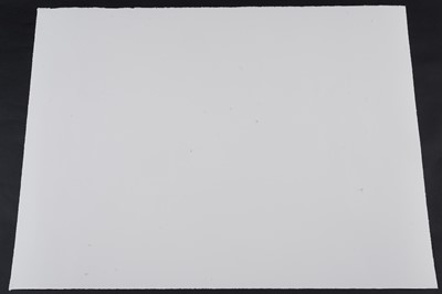 Lot 930 - Nick Walker - The Corancan | silkscreen print