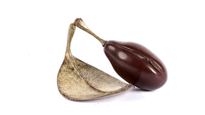 Lot 888 - A patinated bronze sculpture of a plum, by Mark Hall