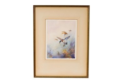 Lot 78 - William E. Powell - Ducks in Flight | watercolour
