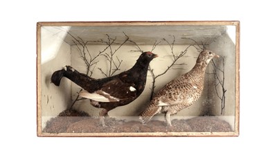 Lot 906 - A Victorian taxidermy game bird display case