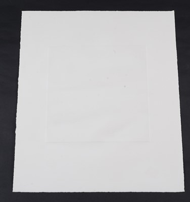 Lot 983 - Victor Pasmore CBE - Linear Motif | etching with aquatint