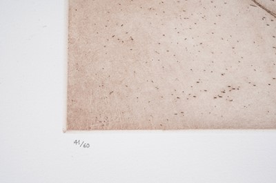 Lot 983 - Victor Pasmore CBE - Linear Motif | etching with aquatint