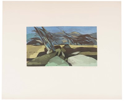 Lot 1127 - Wolff Buchholz - R7606/I, 1976 | colour etching