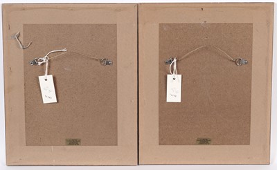 Lot 269 - Diana Smallfield - Kie Kie the Epiphyte, and Variations on a Pohutukawa | colour etchings