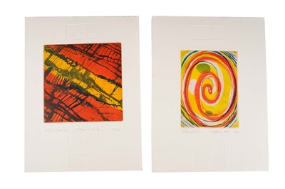 Lot 980 - Willibrord Haas - Mittiere Erdmitte | colour etching with embossed design