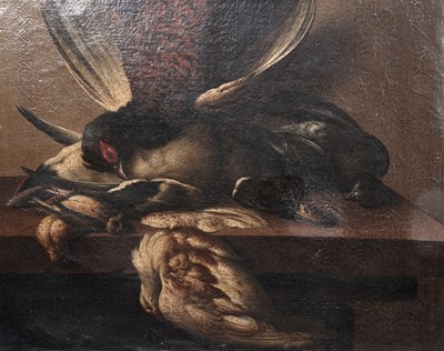 Lot 30 - Follower of Jean-Baptiste Oudry - A pheasant, a duck, and other game birds on a ledge | oil