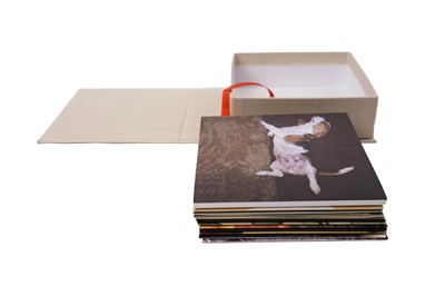 Lot 408 - Lambchop - Tour Box, 2010 10xCD/DVD limited edition box set