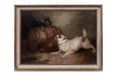 Lot 136 - George Armfield - Two Terriers Fighting Over a Barrell | oil
