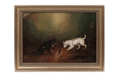 Lot 1173 - Manner of George Armfield - Two Unsuccessful Terriers | oil