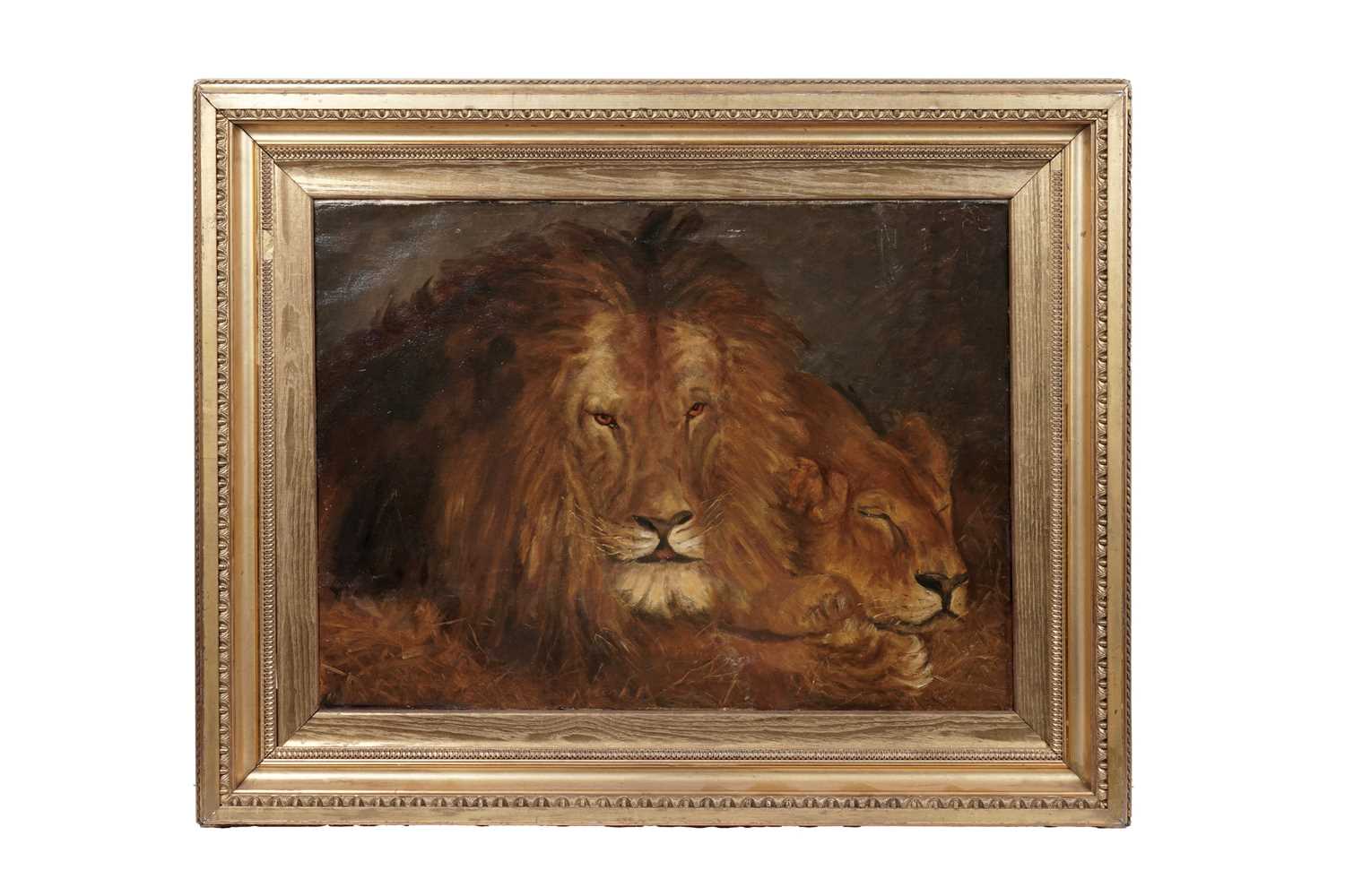 Lot 34 - Early 20th Century British School - Lion and lioness at rest | oil