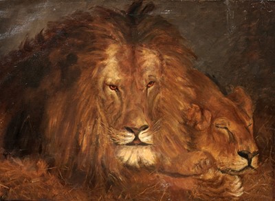 Lot 34 - Early 20th Century British School - Lion and lioness at rest | oil