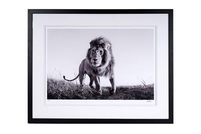 Lot 639 - Anup Shah - Hunter | limited edition photographic print
