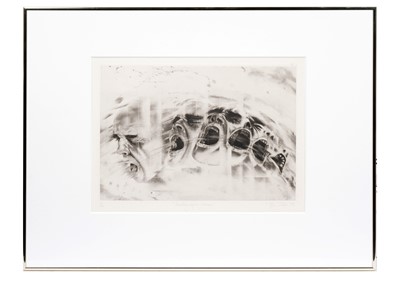 Lot 620 - Terry Wilson - Anatomy of a Scream | limited edition aquatint, mezzotint, and drypoint