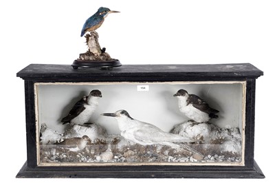 Lot 154 - Taxidermy: a kingfisher; and a case of birds