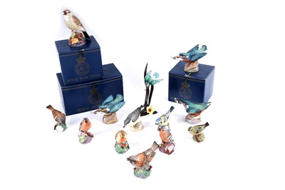 Lot 369 - ﻿A collection of Royal Worcester ceramic bird figures