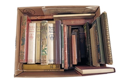 Lot 276 - A collection of early British annuals and other books