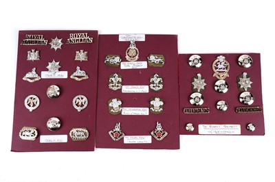 Lot 12 - A selection of second-half 20th Century British Military badge and button displays