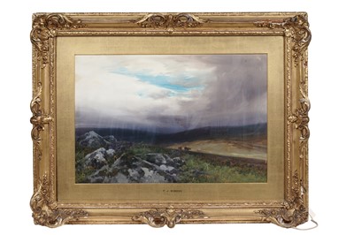Lot 36 - Frederick John Widgery – Taw Marsh, Belstone | oil