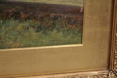 Lot 36 - Frederick John Widgery – Taw Marsh, Belstone | oil