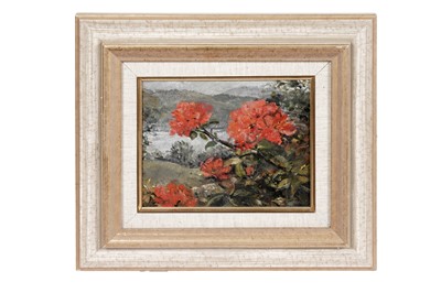 Lot 200 - Judith Da Fano – Azaleas from Stagshaw Garden | oil