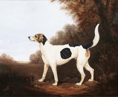 Lot 5 - Andrew Alexander - Portrait of a foxhound | oil