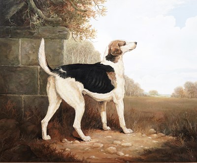 Lot 4 - Andrew Alexander - Portrait of a foxhound | oil