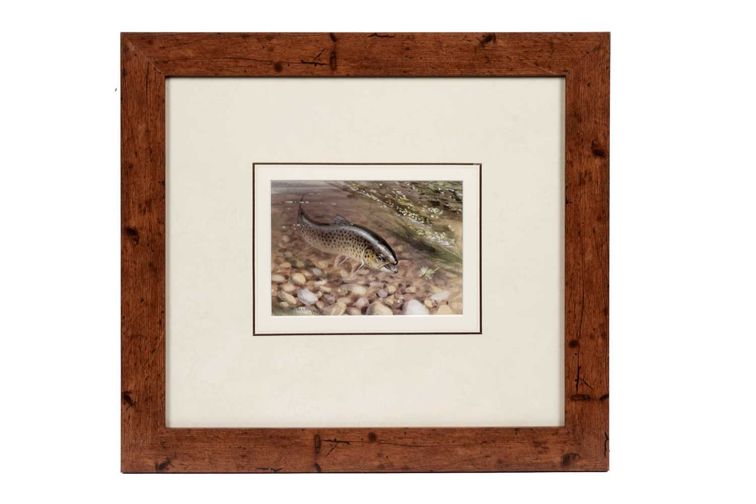 Lot 37 - Roger McFail – Trout fishing | gouache