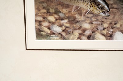 Lot 37 - Roger McFail – Trout fishing | gouache