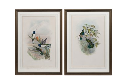 Lot 92 - After John Gould and Henry Constantine Richter – Two bird studies | hand coloured lithograph