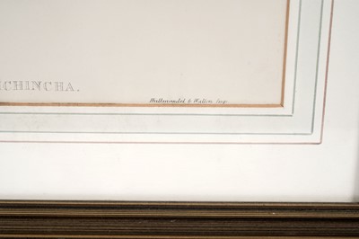 Lot 92 - After John Gould and Henry Constantine Richter – Two bird studies | hand coloured lithograph