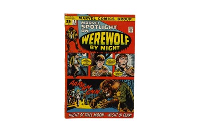 Lot 672 - Marvel Spotlight No. 2