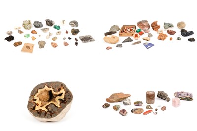 Lot 133 - A large collection of rocks, minerals, and fossils