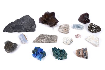 Lot 132 - A collection of rocks, minerals, and fossils