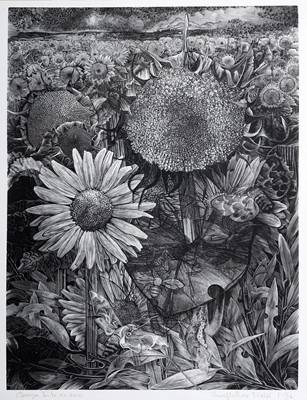 Lot 83 - George William Tute - Sunflower Field | wood engraving