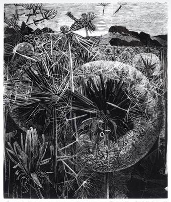 Lot 88 - George William Tute - Dandelion Field | wood engraving