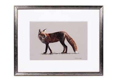 Lot 589 - Jason Lowes - Fox | watercolour