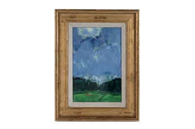 Lot 711 - John Houston - Alpine Meadow | oil