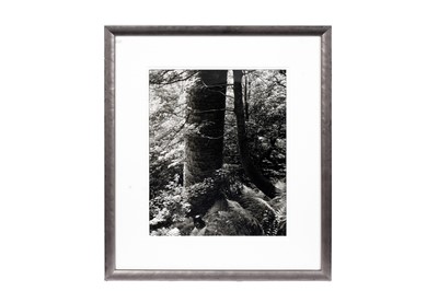 Lot 122 - Fay Godwin - Remains of Elmet III | original photograph