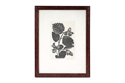 Lot 48 - John Farleigh - Hazel Nuts | wood engraving