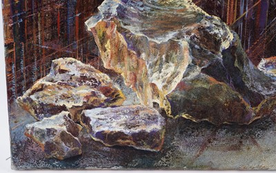 Lot 77 - Bridget Tempest - Skull, Stone and Shell Triptych | oils