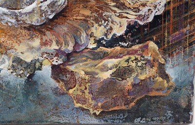 Lot 77 - Bridget Tempest - Skull, Stone and Shell Triptych | oils