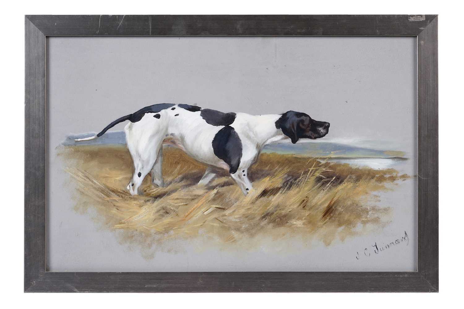 Lot 542 - John "Jack" Charles Tunnard - Study of an English Pointer | gouache and mixed media